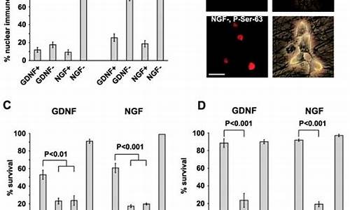 gednf代码-dnf代码表