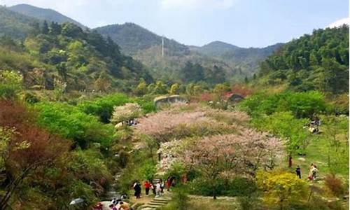 梅岭攻略一日游-梅岭景区门票价格